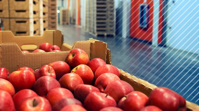 Your Guide To Shipping Perishable Goods